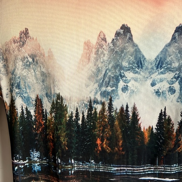 AFRM Zadie semi sheer turtleneck - Picture 4 of 9